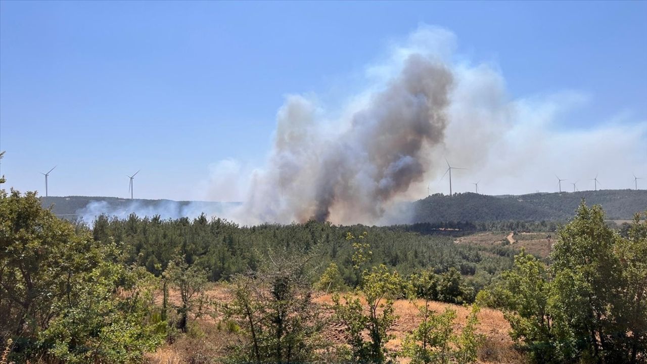 Çanakkale'de Salihler Barajı'nda Orman Yangını — Havadan ve Karadan Müdahale