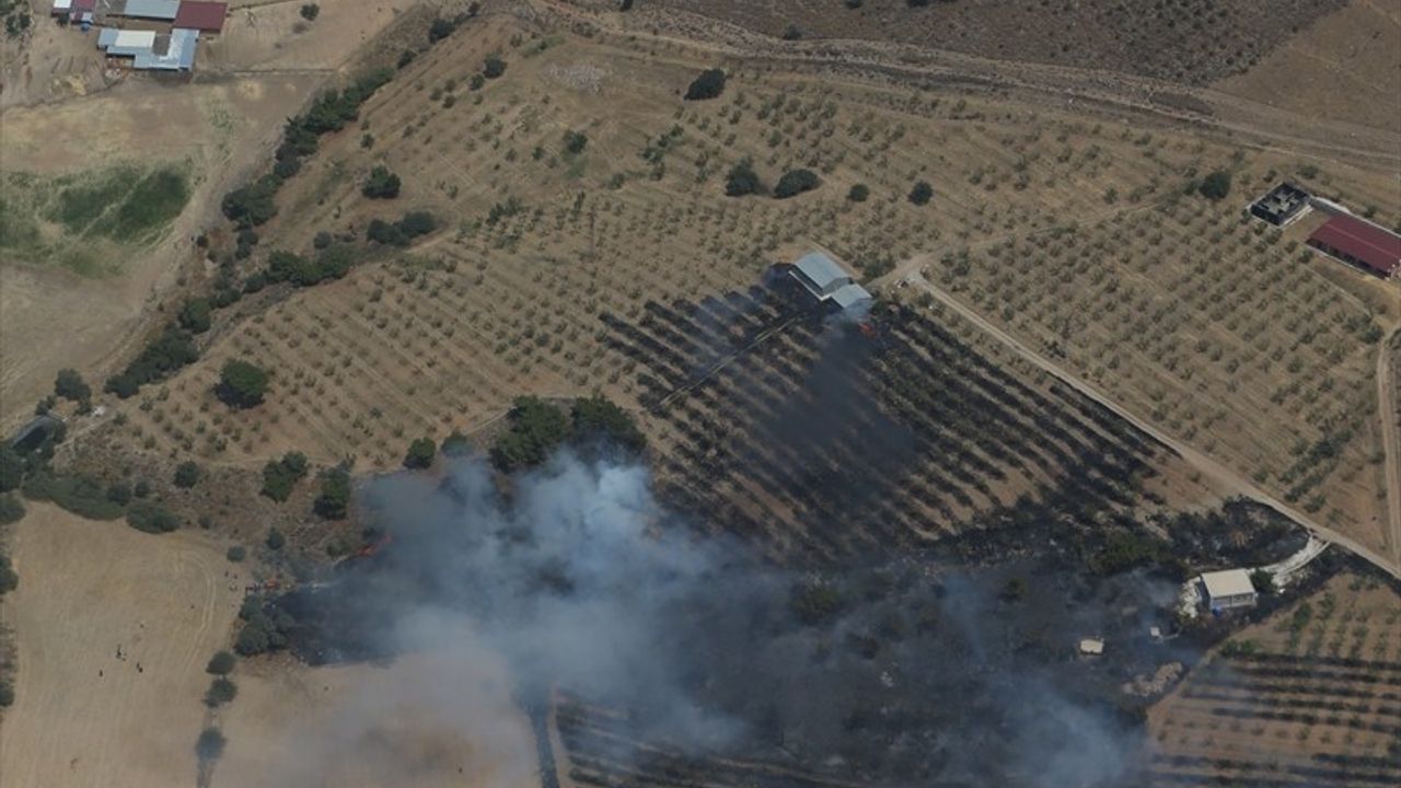 Çanakkale'de Zirai Yangına Hızla Müdahale Ediliyor