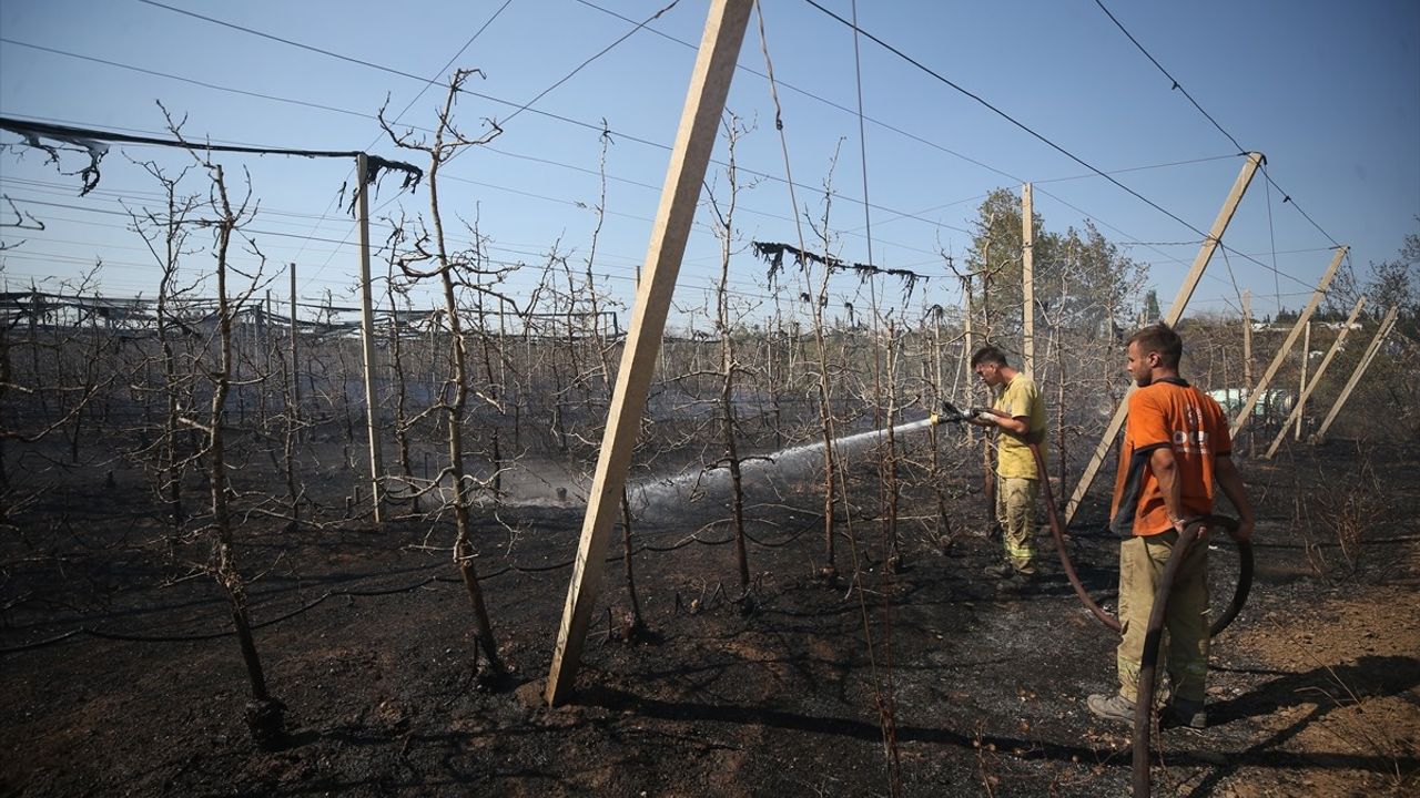 Çanakkale'deki Arazi Yangınına Hızla Müdahale Ediliyor