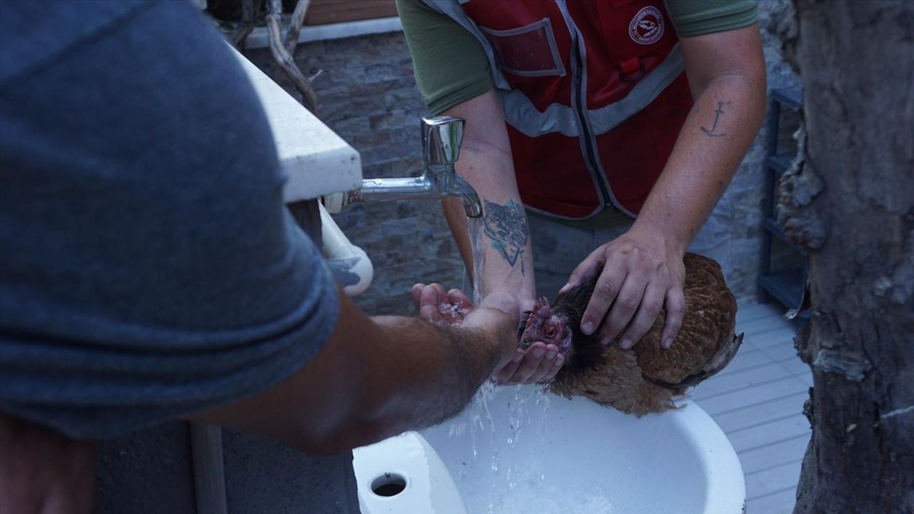 Çanakkale'deki Orman Yangınına Acil Müdahale Başlatıldı