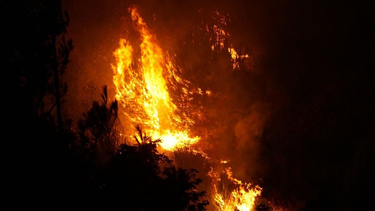Çanakkale'deki Orman Yangınına Hızla Müdahale Başlatıldı