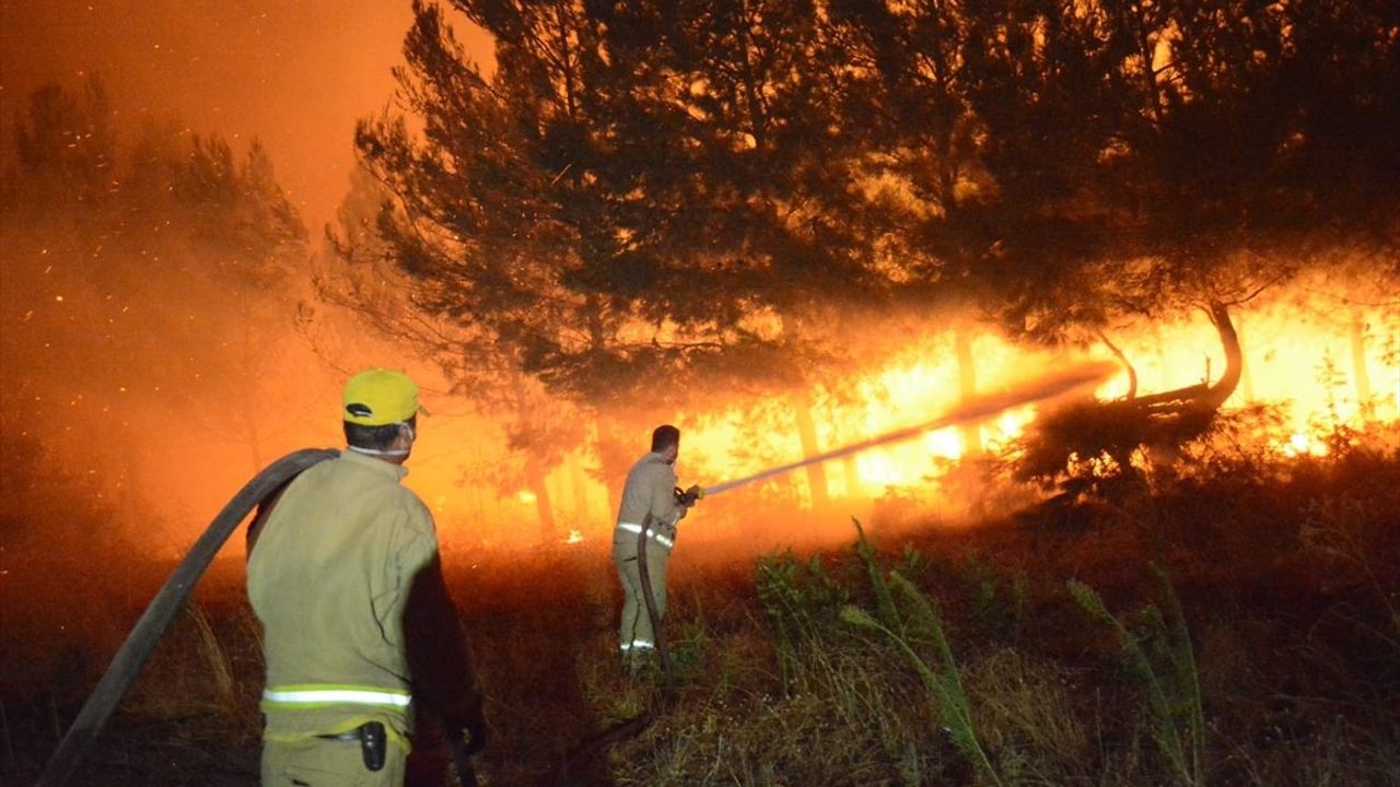 Çanakkale'deki Orman Yangınına Yoğun Müdahale Devam Ediyor