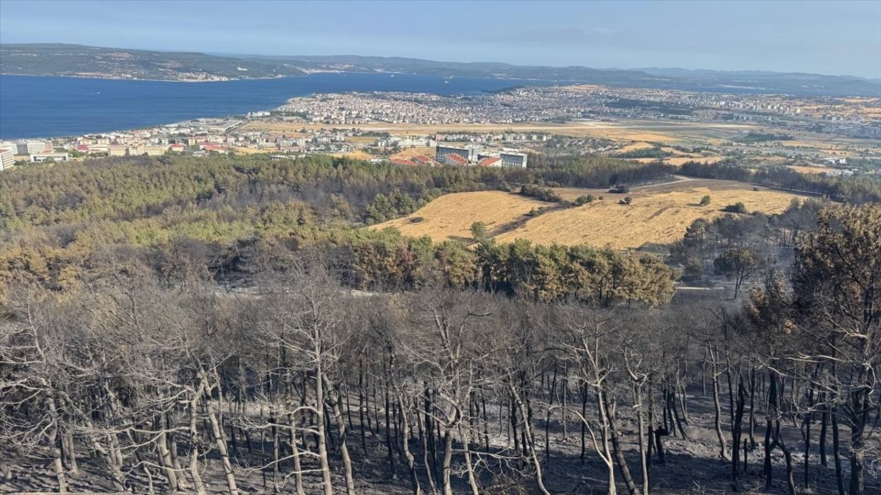 Çanakkale'deki Yangında İkinci Gün Mücadele Devam Ediyor