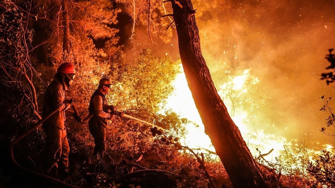 Çanakkale Gelibolu'da Orman Yangını: 143 Araç, 391 Personel Müdahale Ediyor