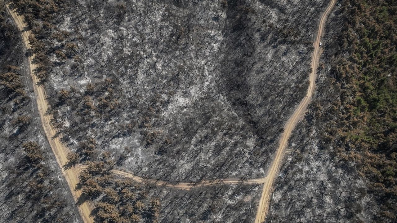 Çanakkale Gelibolu'da Orman Yangını Dronla Görüntülendi