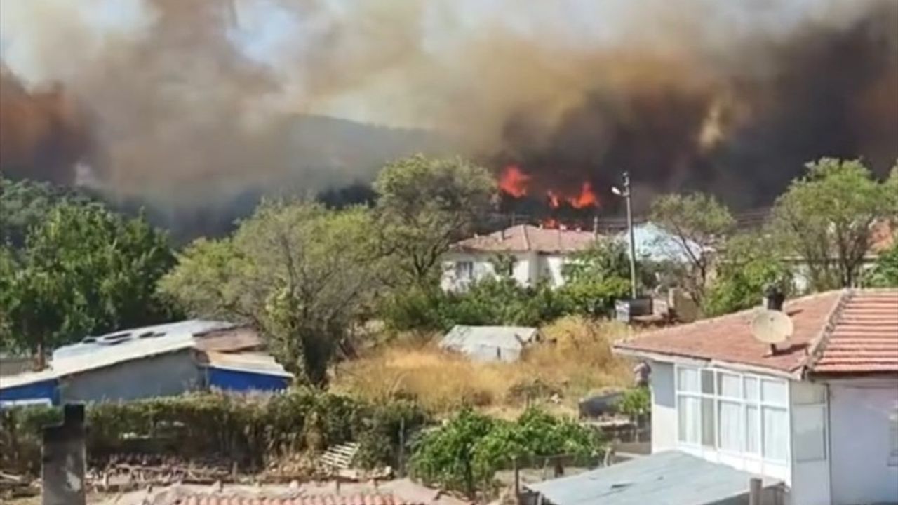 Çanakkale Gelibolu'da Orman Yangını: Havadan ve Karadan Müdahale Sürüyor