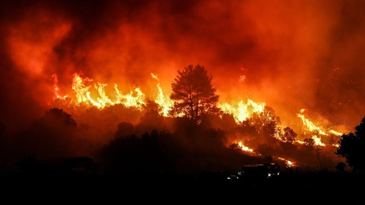 Çanakkale Gelibolu'da Orman Yangını: Müdahale ve Tahliyeler Sürüyor