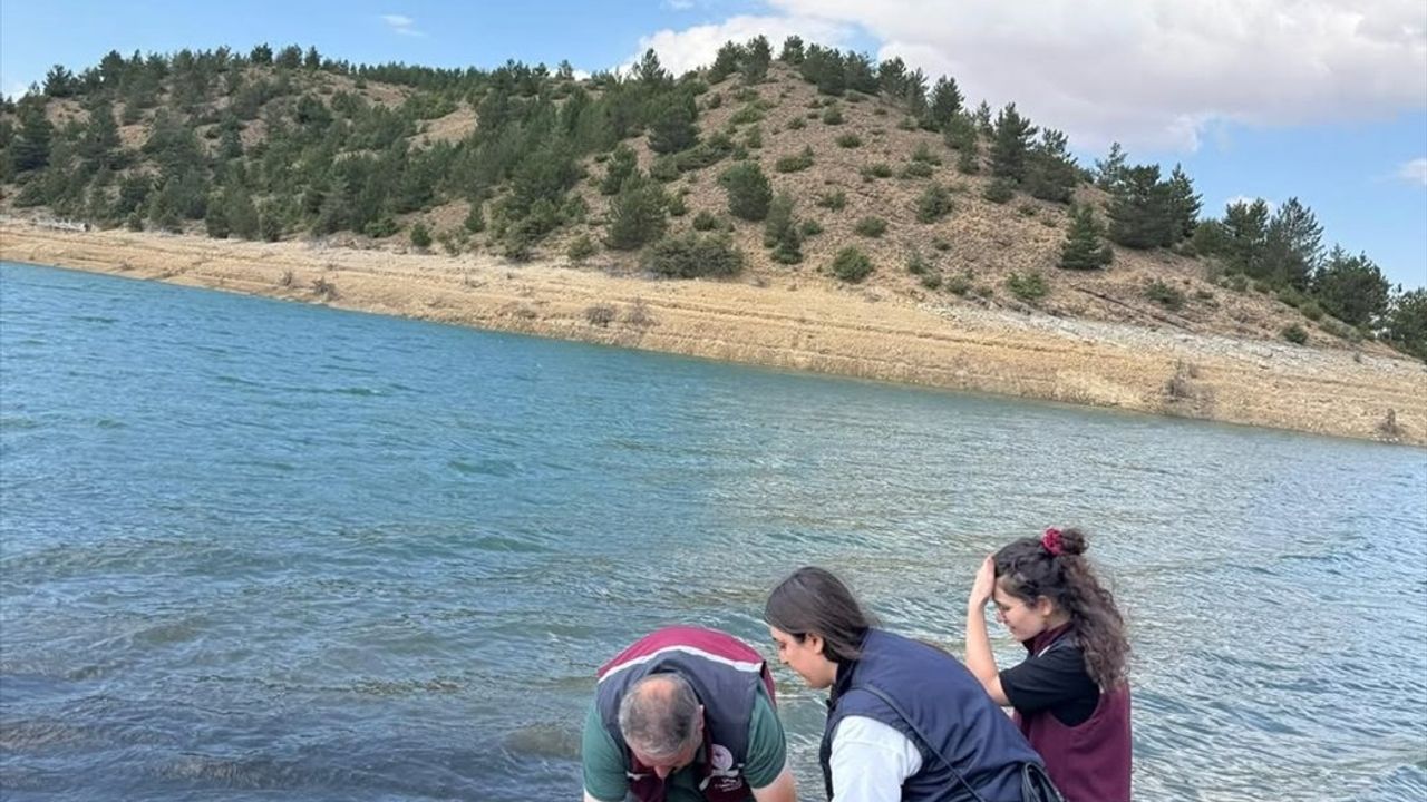 Çankırı'da 626 Bin Sazan Yavrusu 11 Gölete Bırakıldı