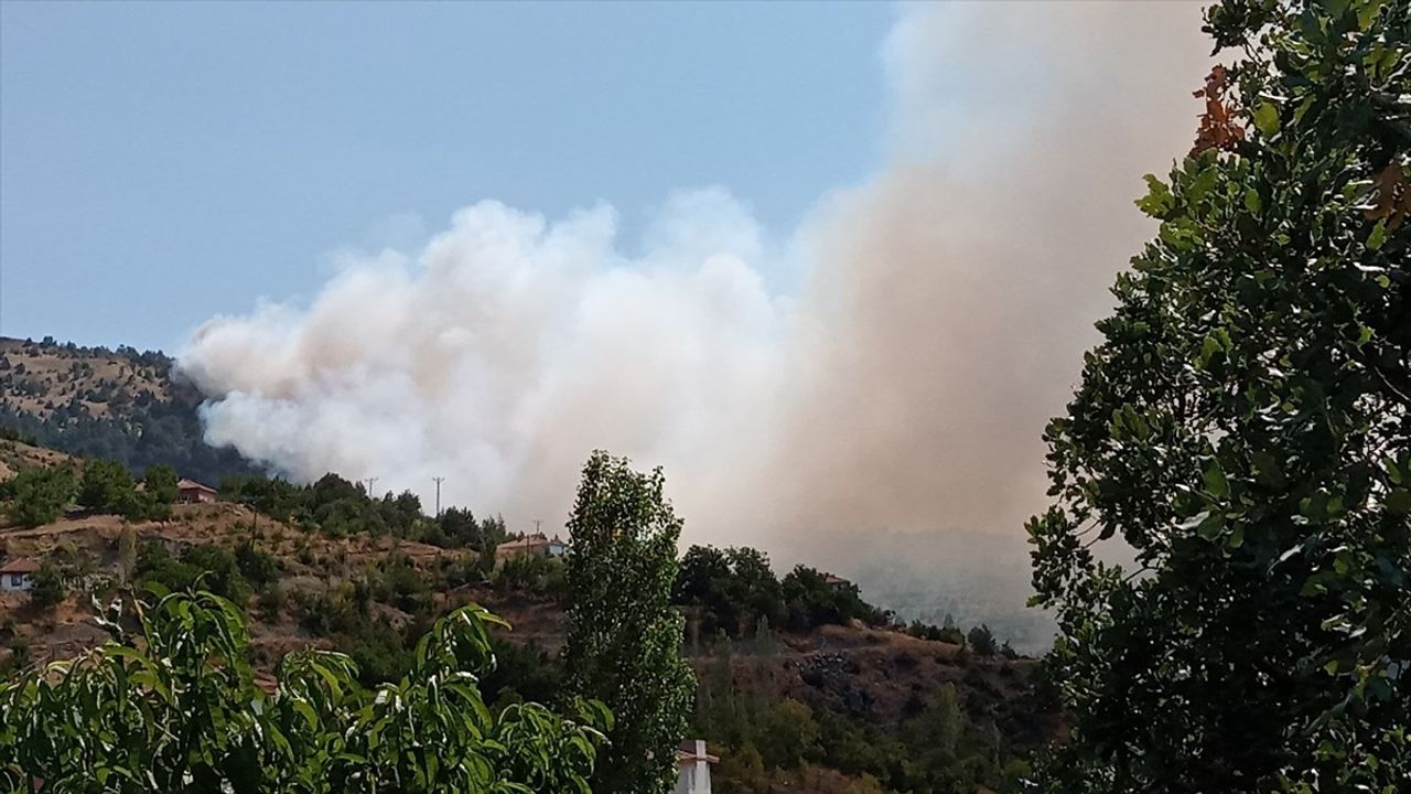 Çorum Çalyayla'da Orman Yangını: Helikopterle Müdahale Başladı