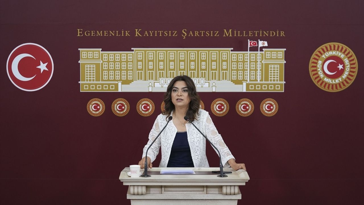 DEM Parti Grup Başkanvekili Koçyiğit: ‘Kürt Sorunu İçin Çözüm Üretmeliyiz’