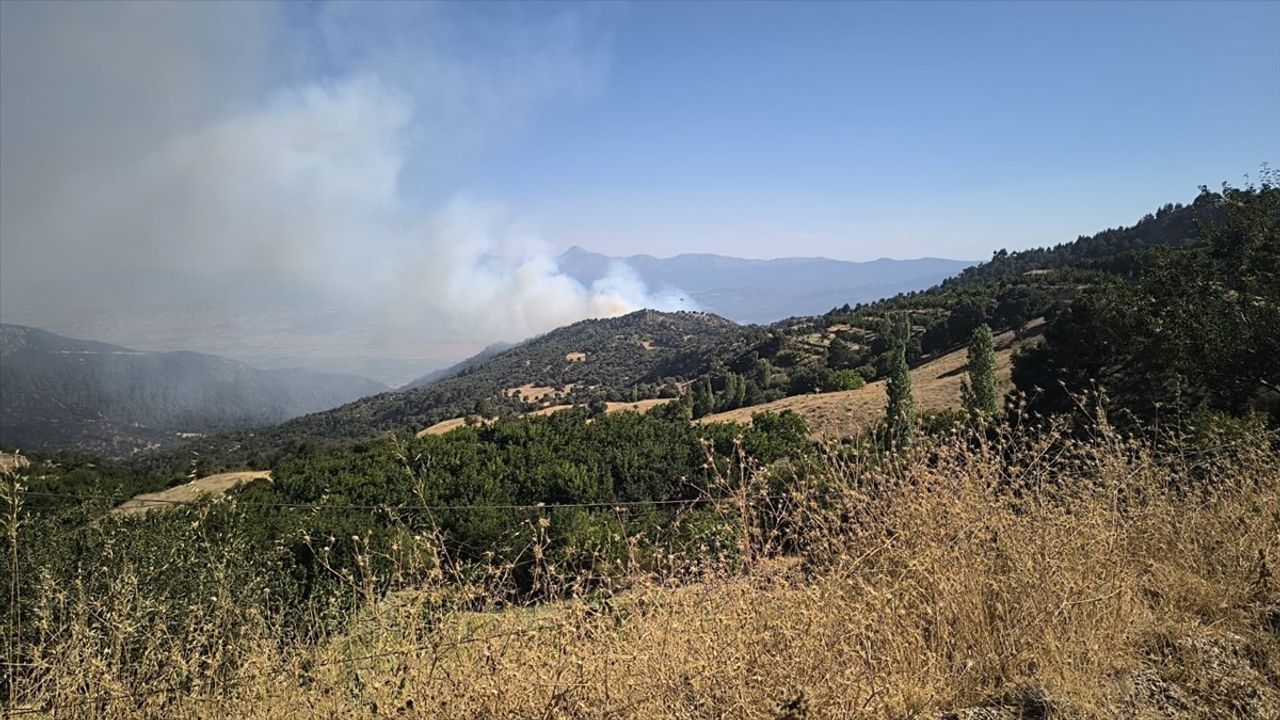 Denizli Buldan'da Orman Yangını Yeniden Başladı