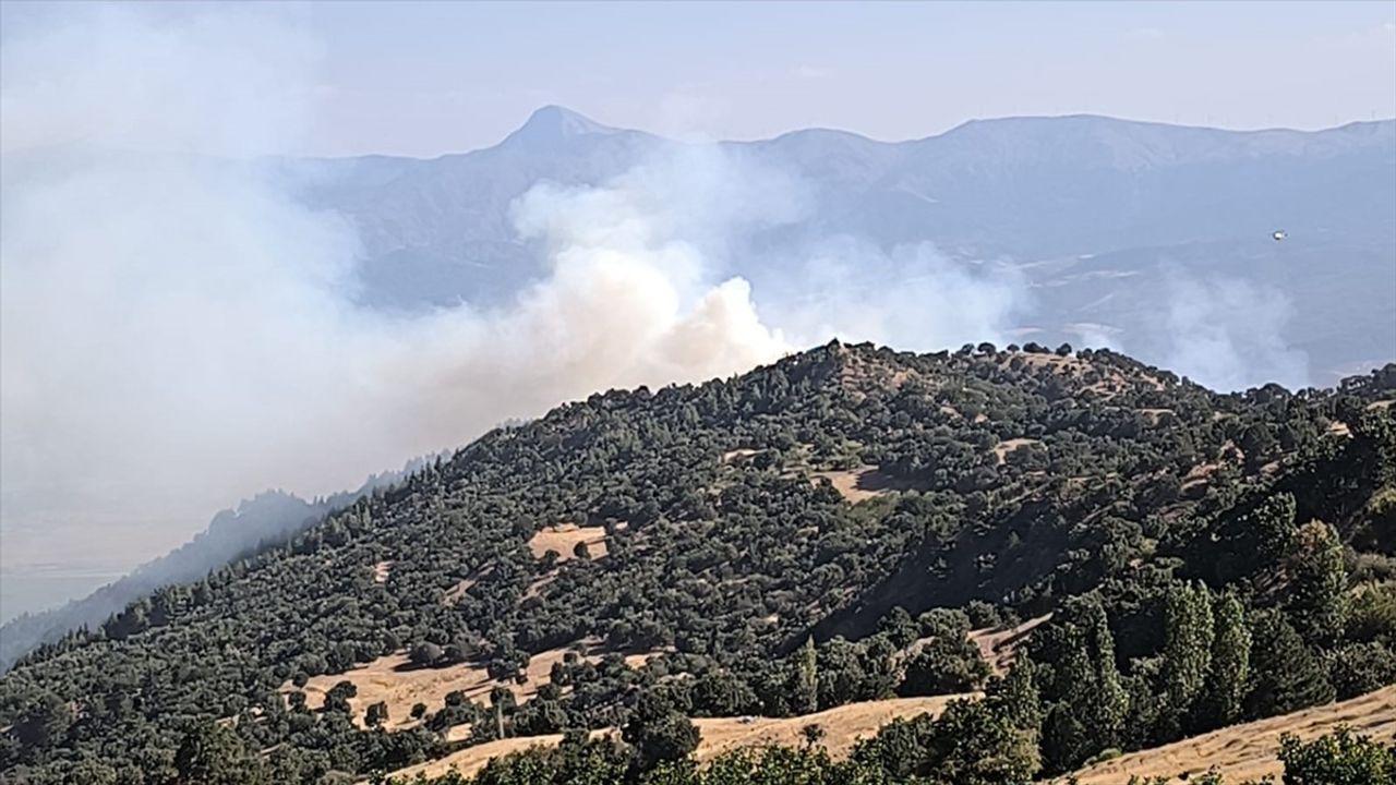 Denizli'de Buldan Orman Yangınına Havadan ve Karadan Müdahale Sürüyor