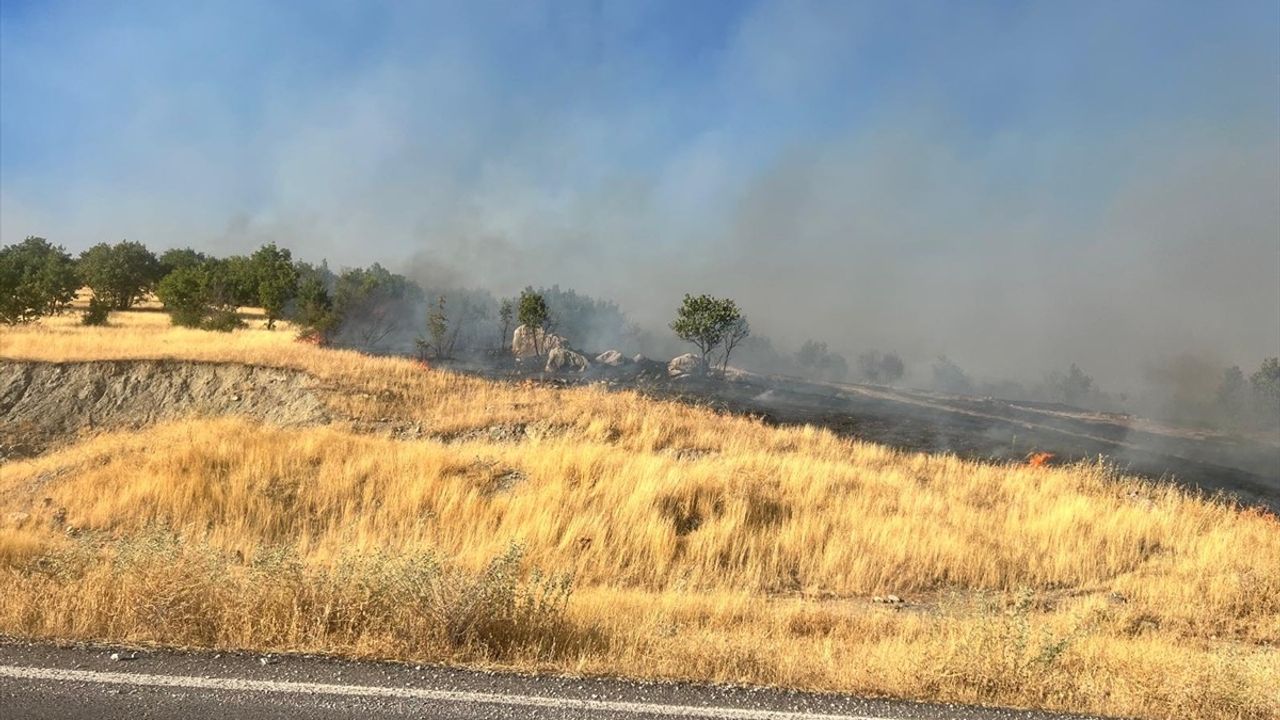 Diyarbakır'da Hani ve Lice'de Orman Yangınlarına Müdahale Sürüyor