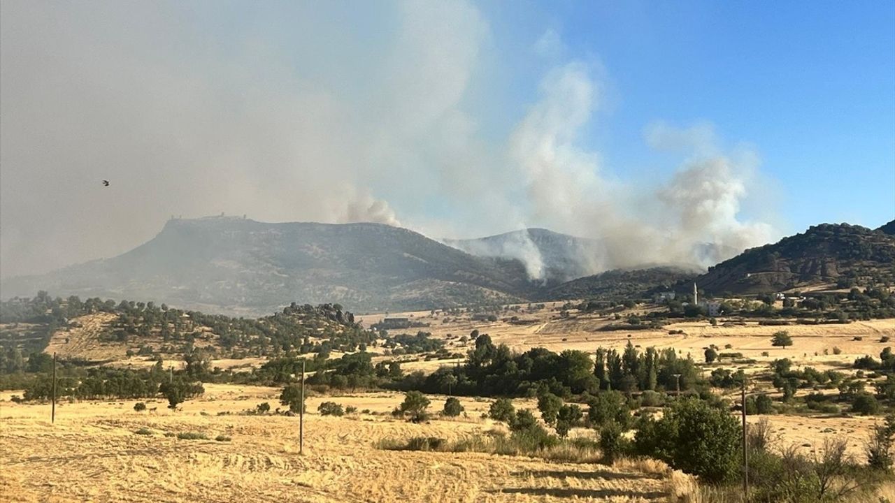 Diyarbakır'da Kırsal Yangın: 74 Araç, 226 Personel Müdahale Ediyor
