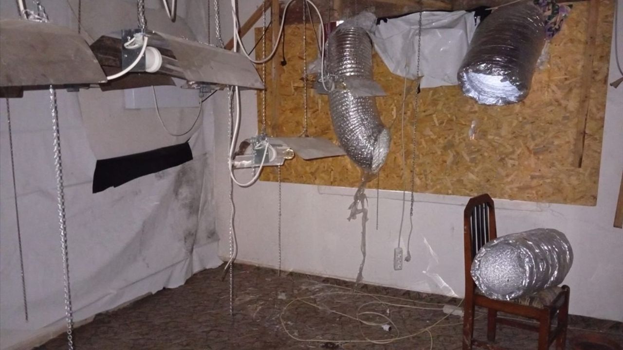 Düzce'de fotokapanla tespit edilen kenevir zanlısı gözaltında