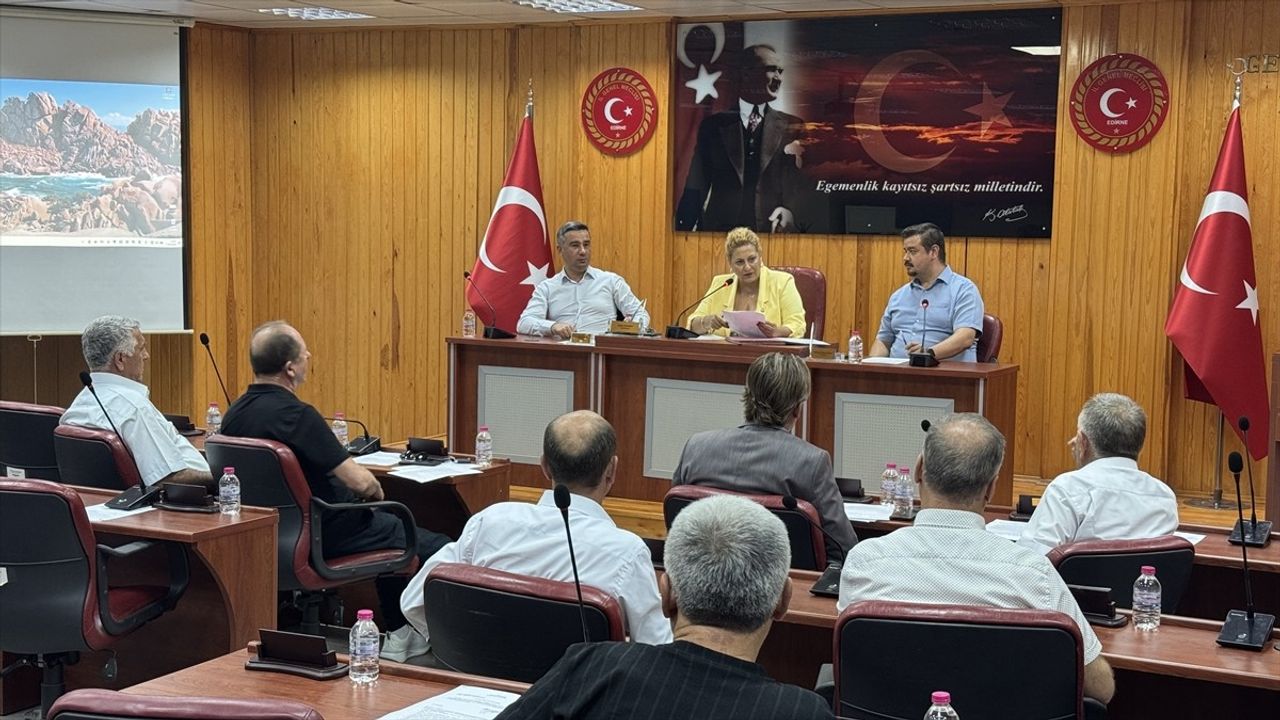 Edirne'de 2.860 Sahipsiz Köpek Barınağa Ulaştırıldı