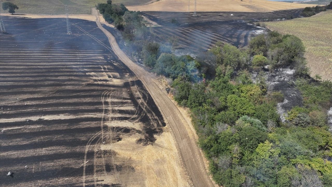 Edirne'de anız yangını ağaçlık alana sıçradı: 150 dekar zarar