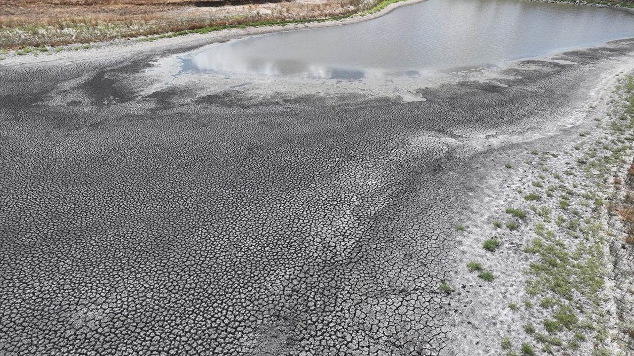Edirne'de Demirhanlı Göleti Kuraklıkla Tükeniyor