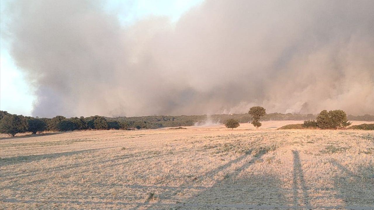 Edirne'de Orman Yangınına Hızla Müdahale Ediliyor