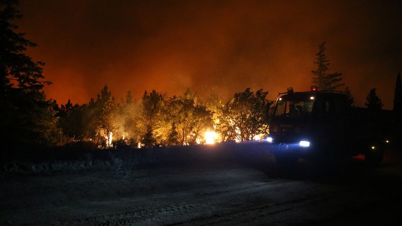 Edirne'de Orman Yangınına Müdahale Devam Ediyor