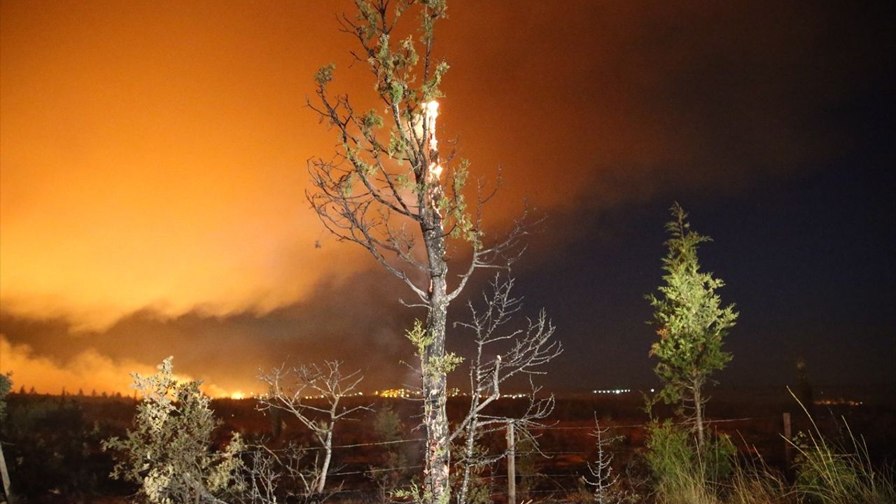 Edirne'de Orman Yangınına Müdahale Devam Ediyor