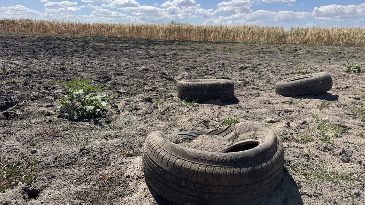 Edirne'de Yağcılı Göleti Kurudu: Kuraklık Tarım ve Hayvancılığı Vurdu