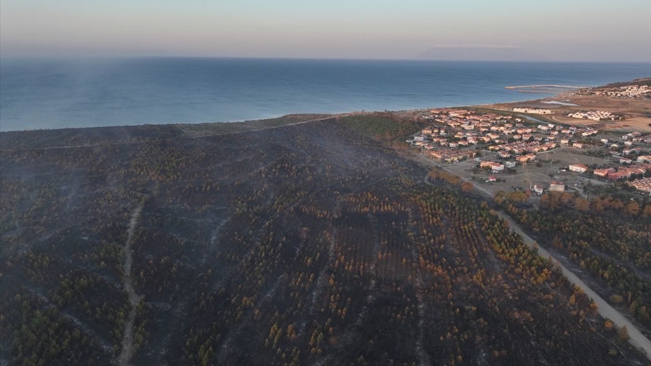 Edirne'deki Orman Yangını Kontrol Altına Alındı