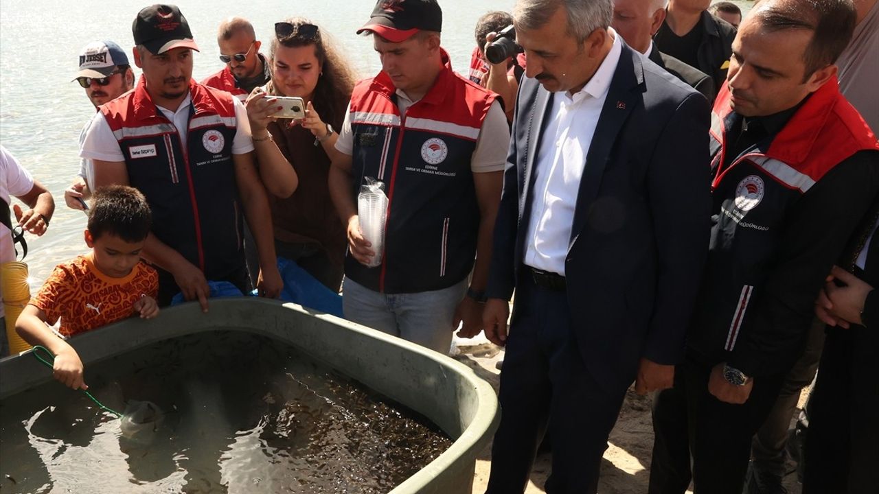Edirne Osmanlı Köyüne 30 Bin Pullu Sazan Yavrusu Salındı
