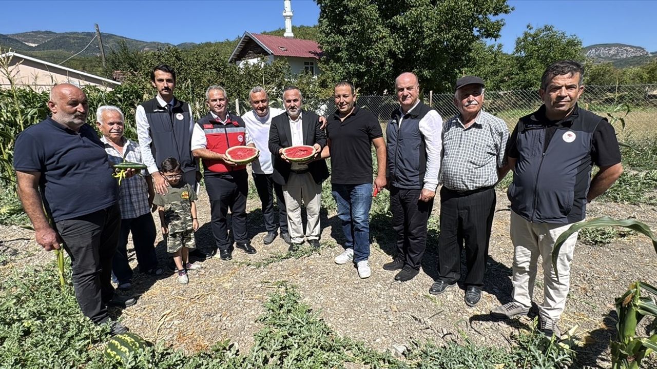 Eflani'de Karpuz Hasadı: Sebahattin Yalçın'dan Örnek Üretim