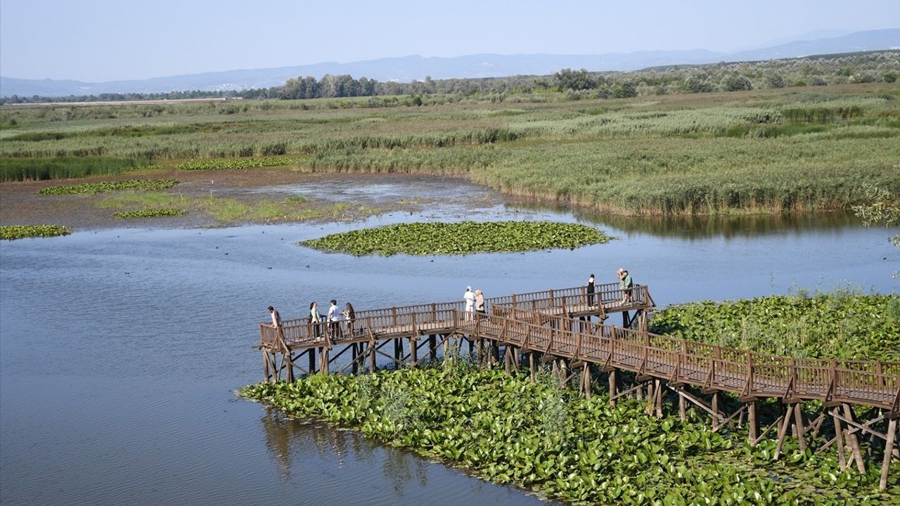 Efteni Gölü Kuş Cenneti Hafta Sonu Doğa Tutkunlarını Ağırladı
