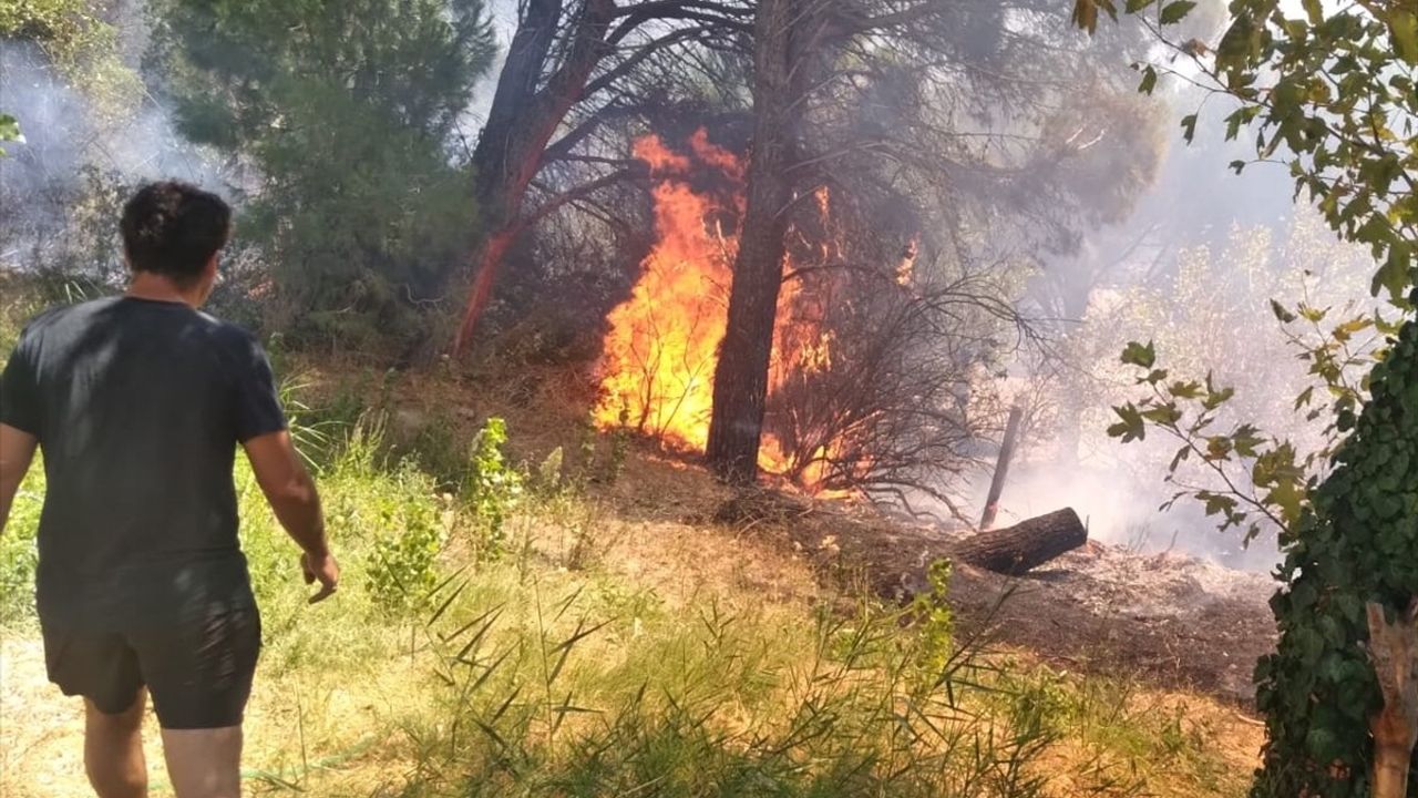 Erdek'te Orman Yangını Kontrol Altına Alındı