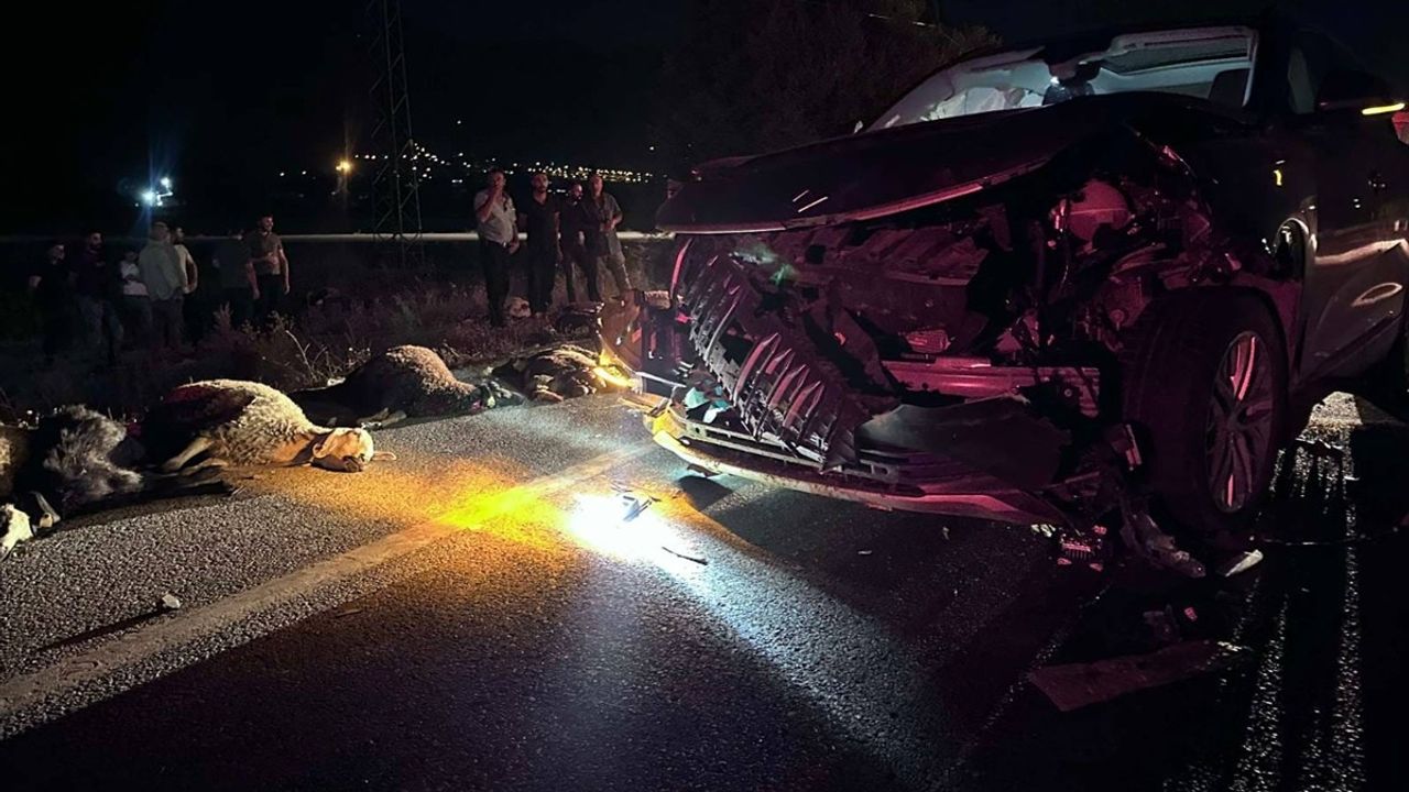 Erzincan'da SUV Aracın Çarptığı 23 Küçükbaş Hayvan Telef Oldu