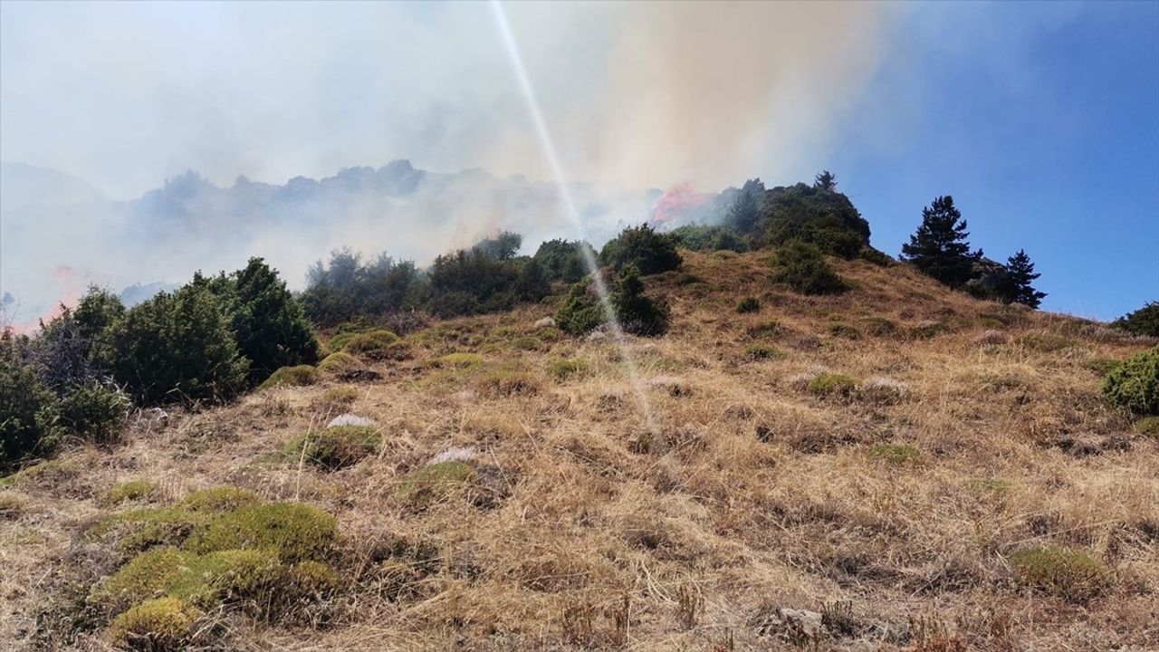 Erzurum İspir'de Çıkan Örtü Yangını Kısa Sürede Kontrol Altına Alındı