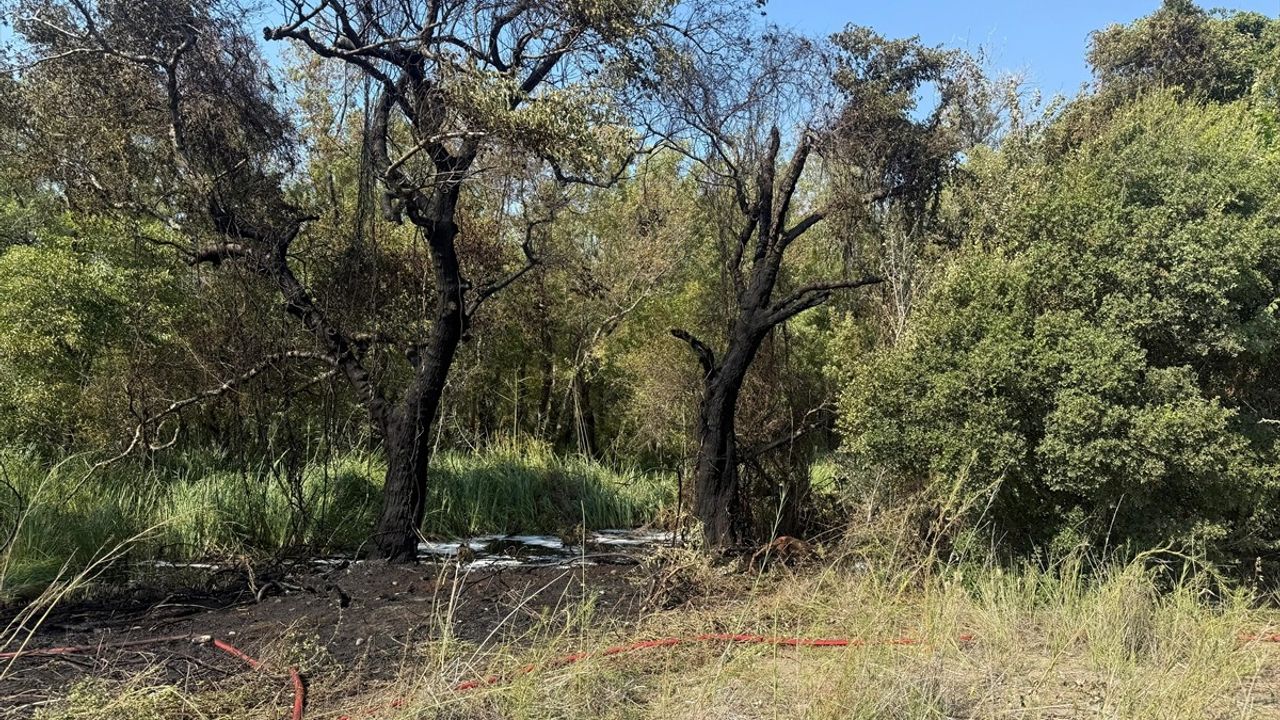 Fethiye'de Karaot Plajı'nda Orman Yangını Hızlı Müdahaleyle Söndürüldü