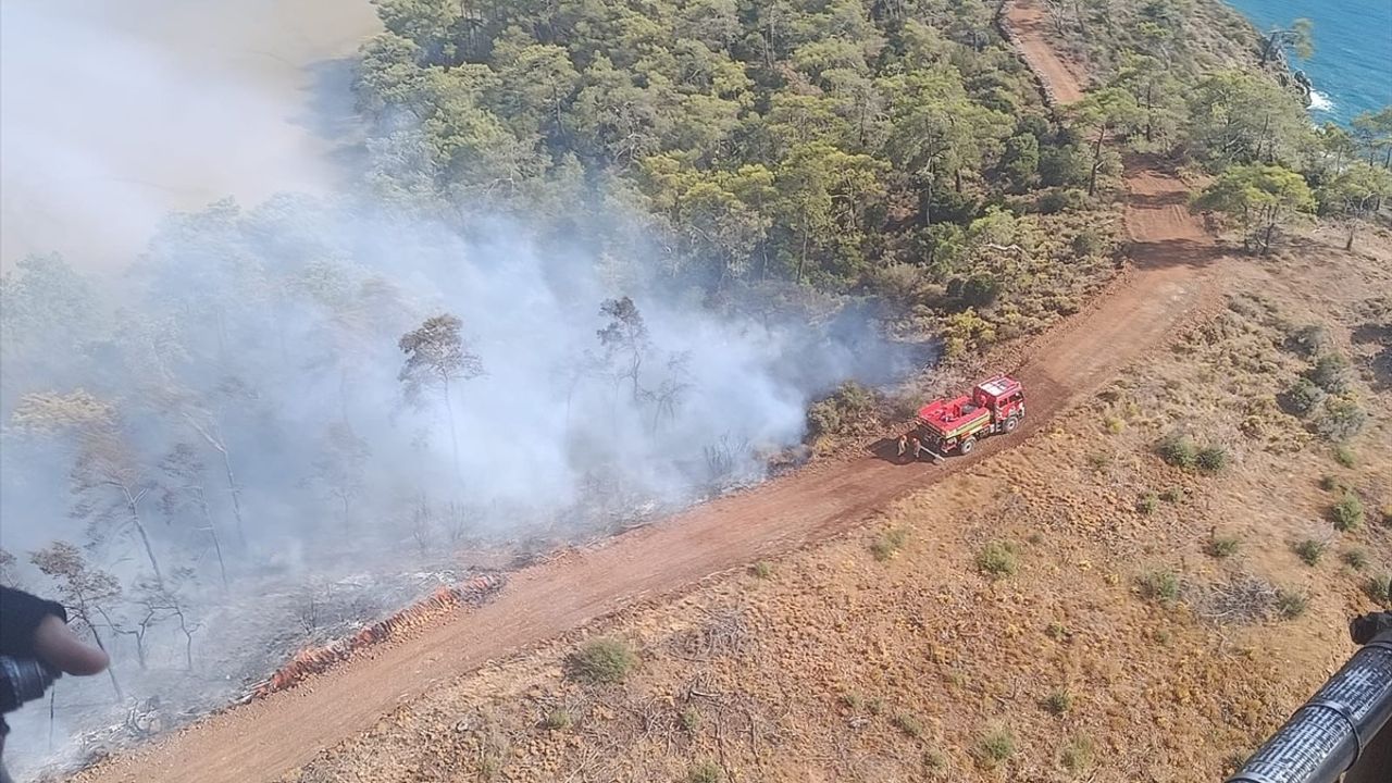 Fethiye'de Orman Yangını: Katrancı Koyu'nda Havadan ve Karadan Müdahale