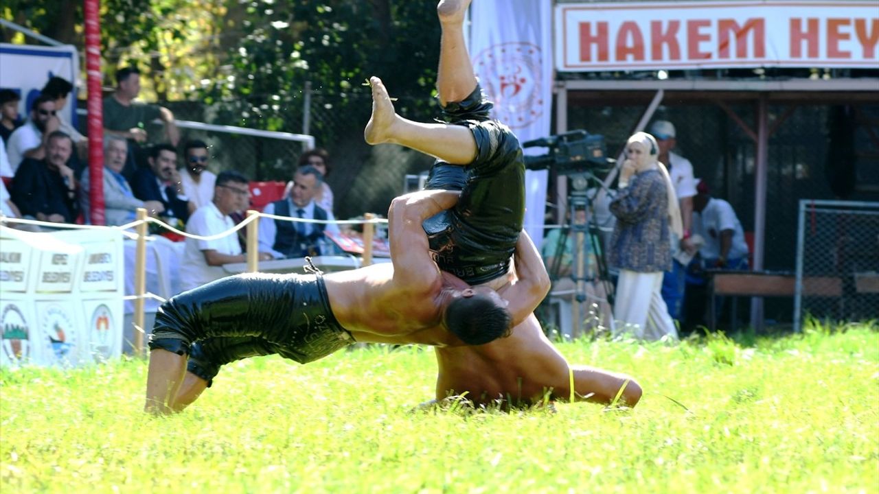 Feyzullah Aktürk, 291. Tarihi Çardak Yağlı Pehlivan Güreşleri'nde Başpehlivan Oldu