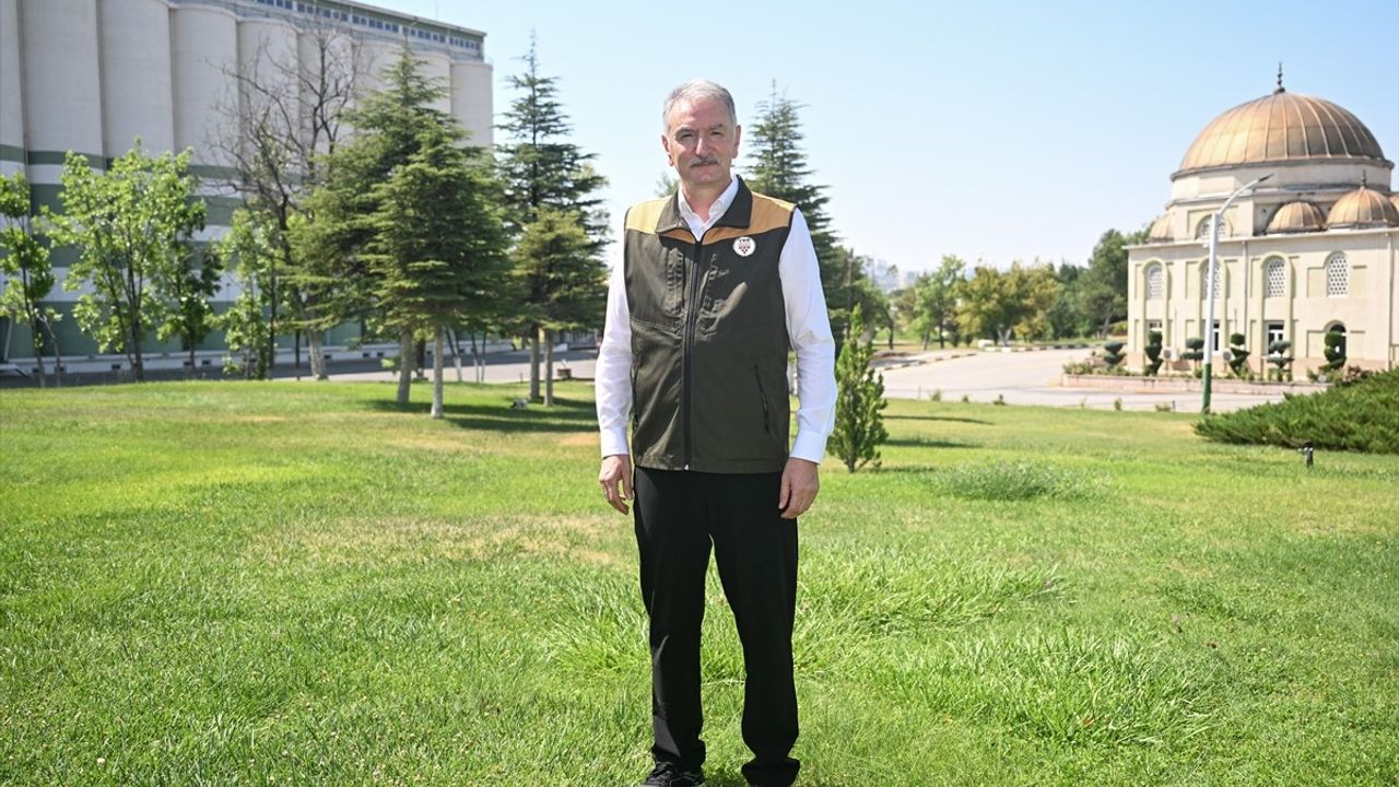 Fındık Rekoltesi 2023'te 453 Bin Ton Olacak