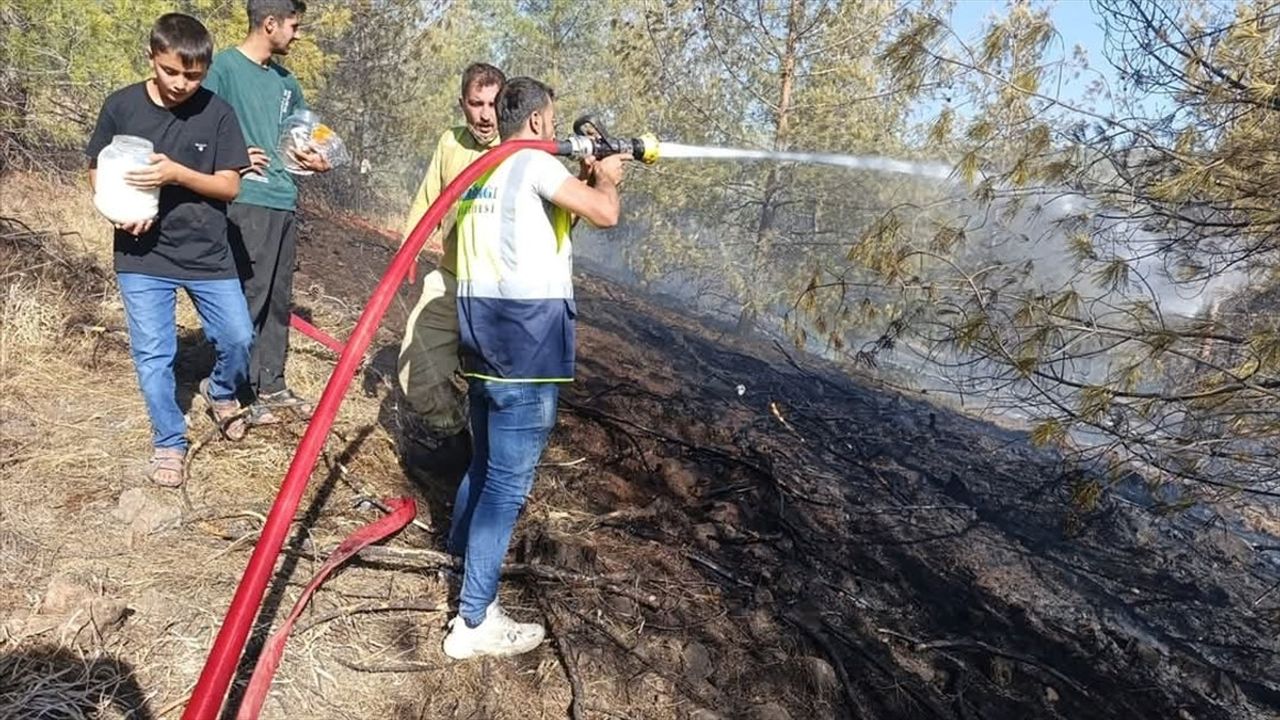 Gaziantep Nurdağı'nda Orman Yangını Kontrol Altına Alındı