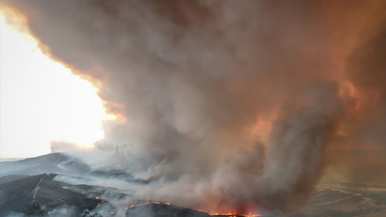 Gelibolu'da Orman Yangını: Havadan ve Karadan Müdahale Sürüyor