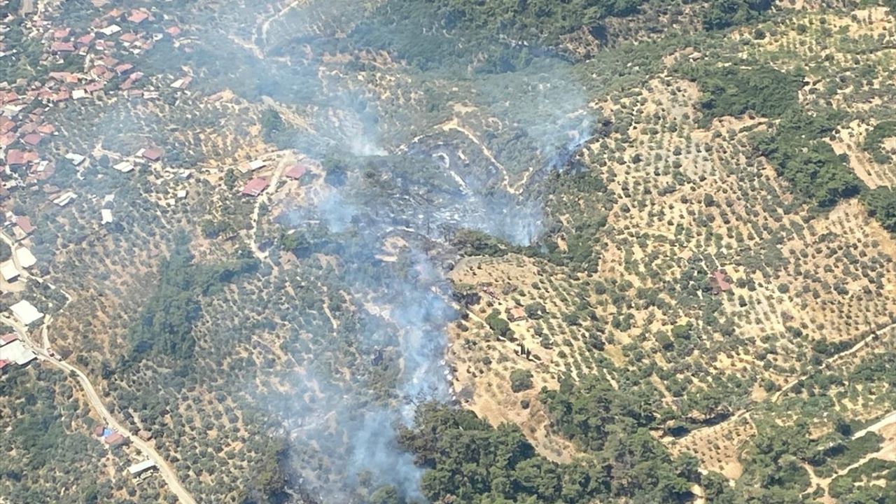 Germencik'te Orman Yangını: Havadan ve Karadan Müdahale Ediliyor