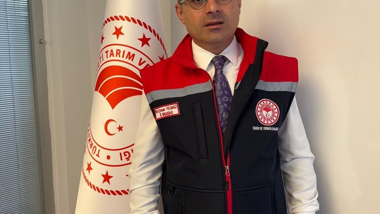 Giresun'da 3 Hastalıktan Ari İşletmeye Sağlık Sertifikası ve Destek