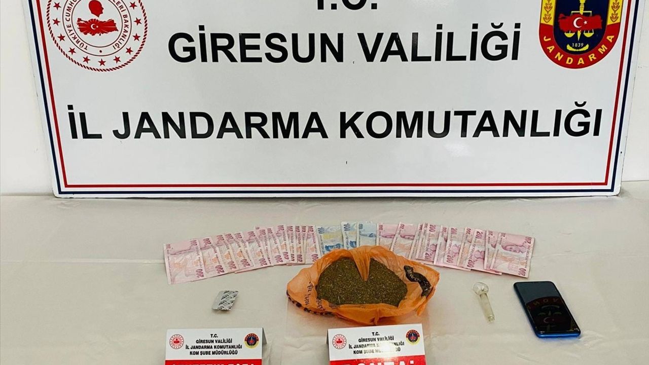 Giresun'da Uyuşturucu Operasyonu: 1 Kişi Tutuklandı