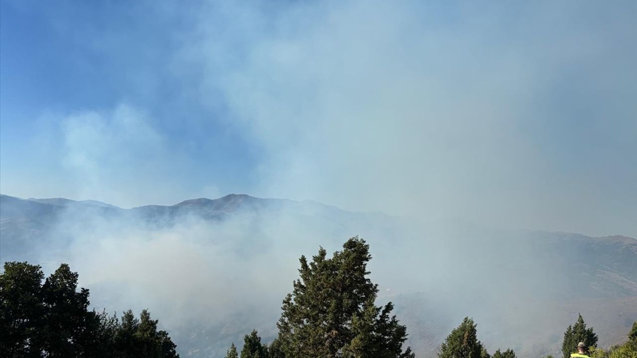 Gümüşhane Kelkit'te Orman Yangını — Ekipler Müdahale Ediyor