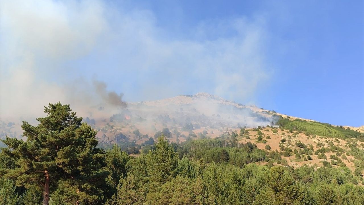 Gümüşhane Şiran'da örtü yangını kontrol altına alındı
