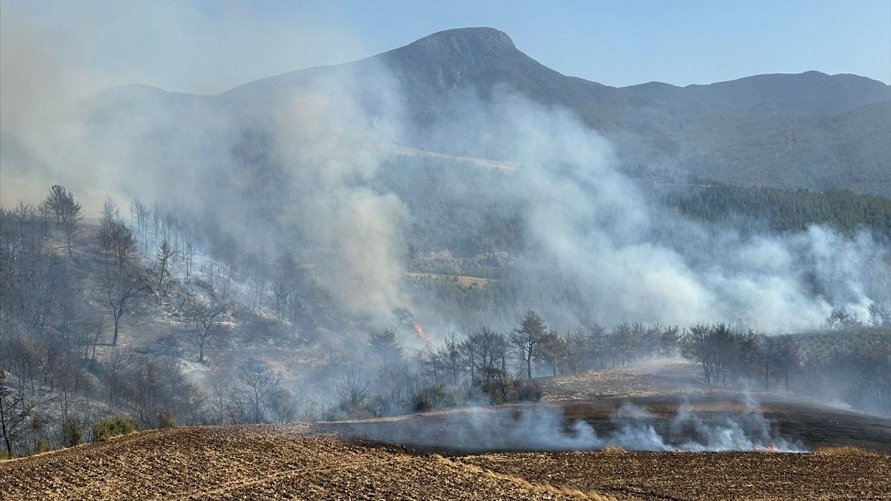 GÜNCELLEME - Osmaniye Düziçi'nde Orman Yangını: 200 Personel, 4 Helikopter ve 20 Arazözle Müdahale