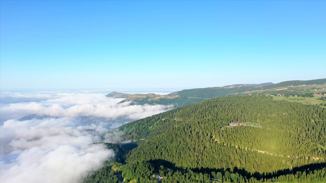 Haçka Yaylası (Trabzon Düzköy): 1900 Rakımda Doğa ve Kamp Rotası