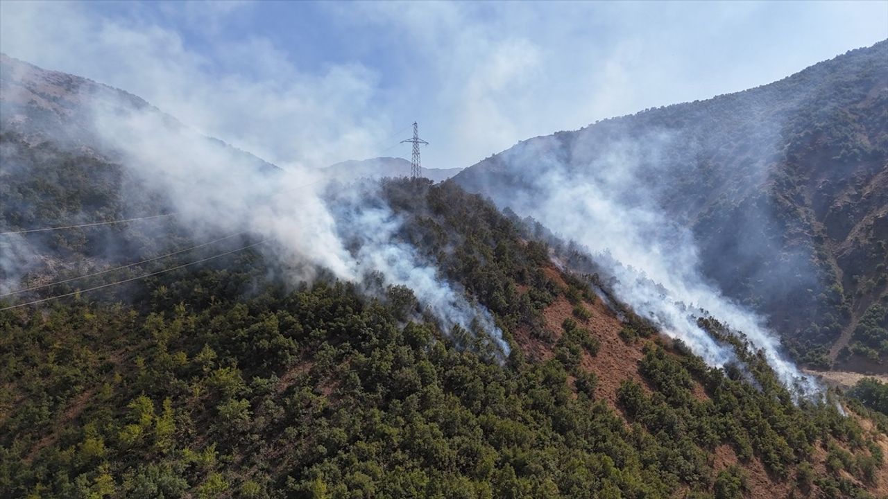 Hakkari Şemdinli'de Ağaçlık Alan Yangını Söndürüldü