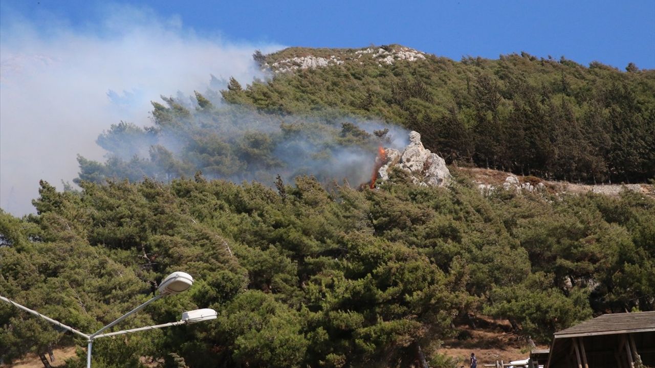 Hatay Antakya'da Orman Yangını: Havadan ve Karadan Müdahale