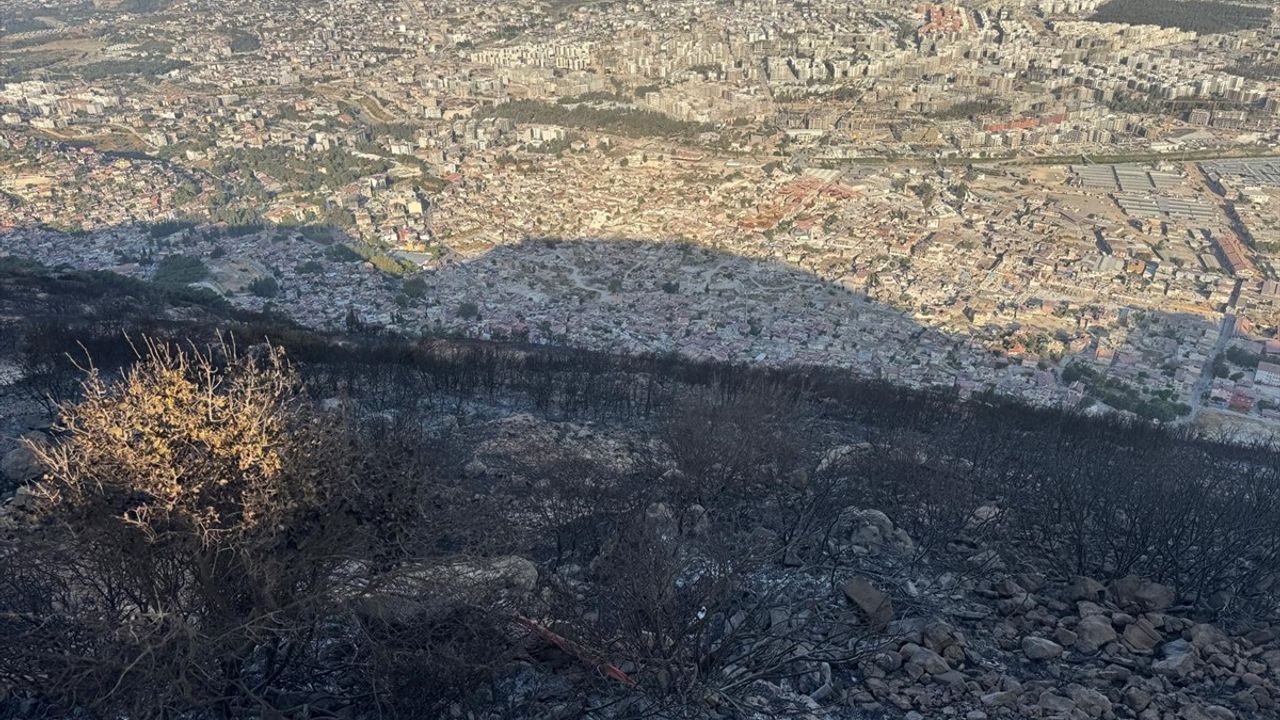 Hatay Antakya'da Orman Yangını Kontrol Altına Alındı