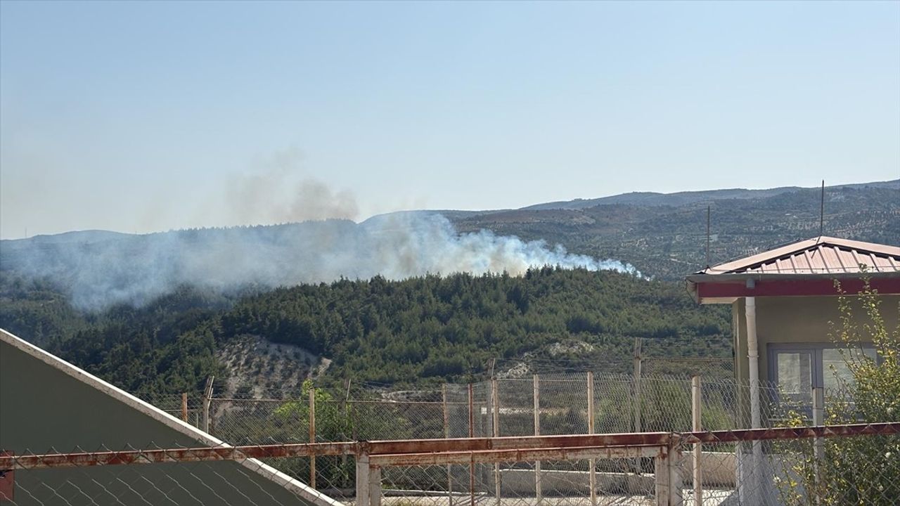 Hatay'da Orman Yangını: Müdahale Devam Ediyor